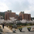 韓國東新大學