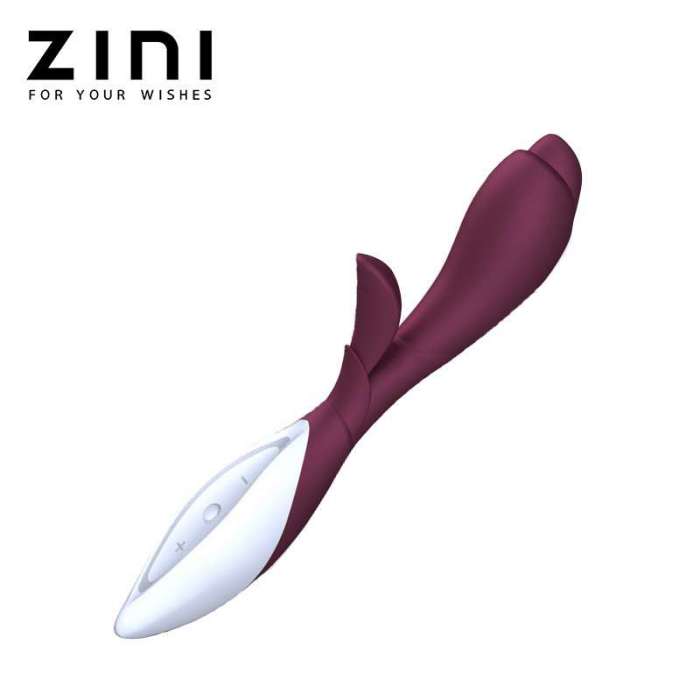 ZINI ZINI