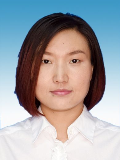 袁靜(天津市河西區政府辦公室副主任) 袁靜(天津市河西區政府辦公室副主任)