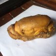 雞寶 雞寶