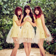 HONEY POPCORN HONEY POPCORN