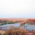 梁子湖省級濕地自然保護區
