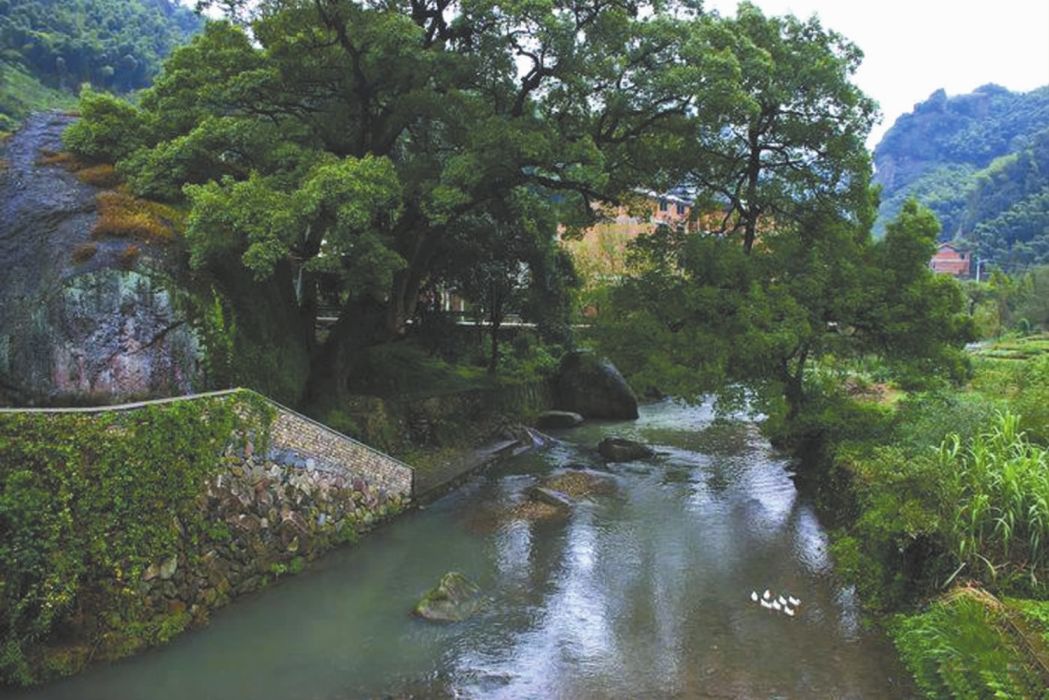 大萊口景區 大萊口景區