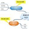 MSS(Web前端技術語言) MSS(Web前端技術語言)
