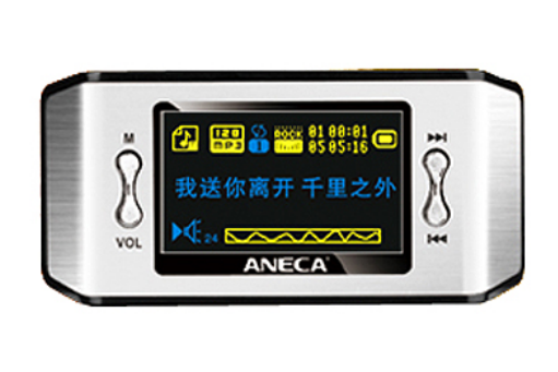安耐克C-12(1GB) 安耐克C-12(1GB)