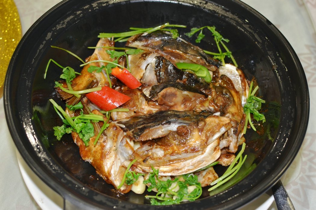 生煎魚頭 生煎魚頭