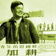 董加耕 董加耕