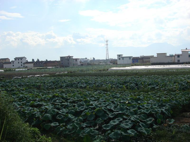 廖北村 廖北村