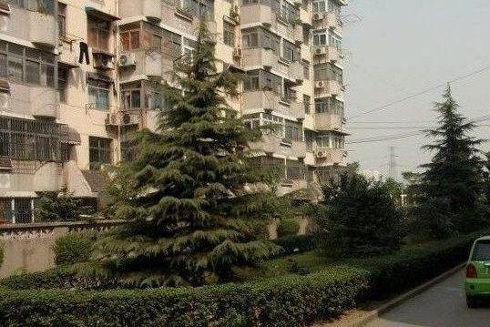 揚子十五村 揚子十五村