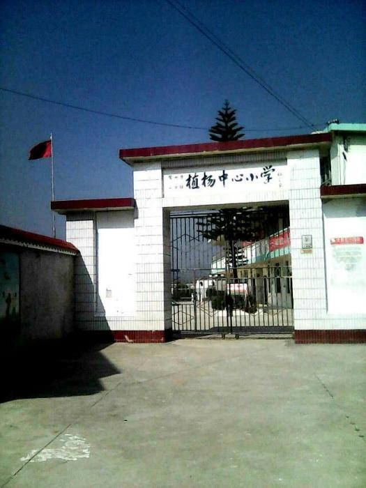 植楊中心國小 植楊中心國小