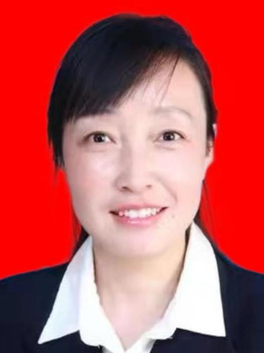 劉艷(陝西省榆林市定邊縣紀委常委、監委委員) 劉艷(陝西省榆林市定邊縣紀委常委、監委委員)