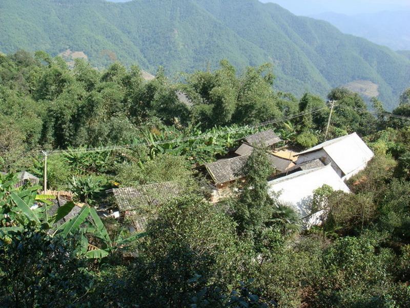 岩崗村 岩崗村