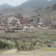 大松梅村 大松梅村