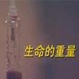 生命的重量 生命的重量