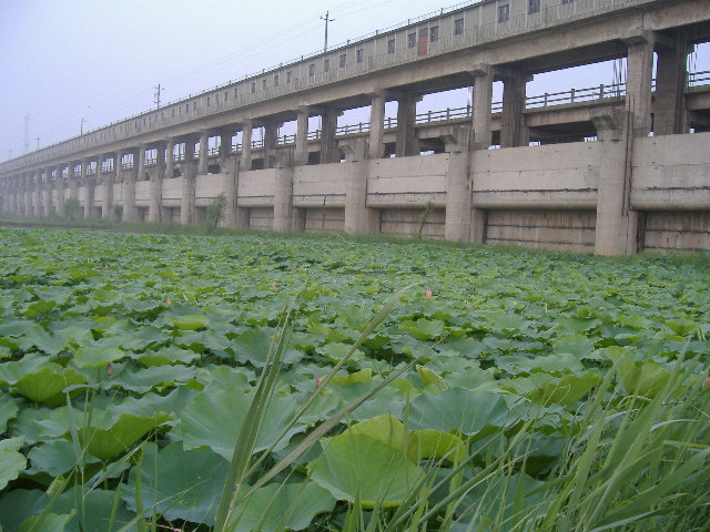 濮陽黃河水利風景區