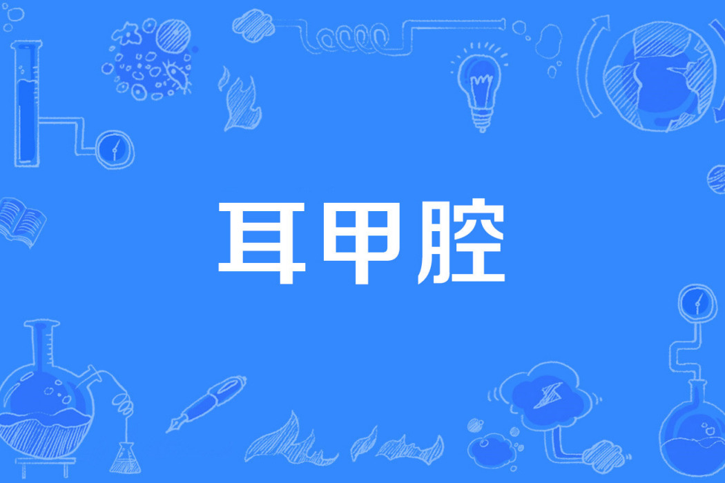 耳甲腔 耳甲腔