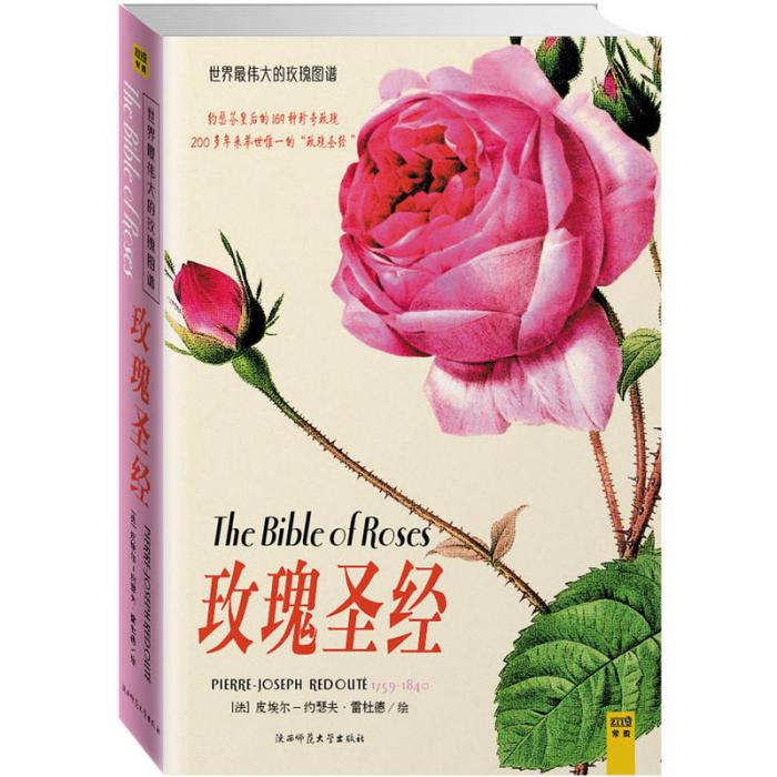 玫瑰聖經 玫瑰聖經