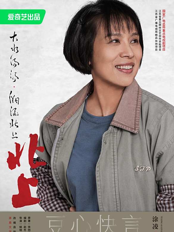 北上(2025年姚曉峰執導的現代劇)