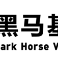 黑馬基金 黑馬基金