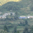 木納雜村(雲南富源縣老廠鄉下轄村) 木納雜村(雲南富源縣老廠鄉下轄村)