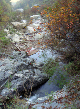 李鳳緒