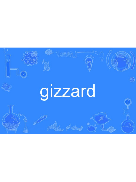 gizzard gizzard