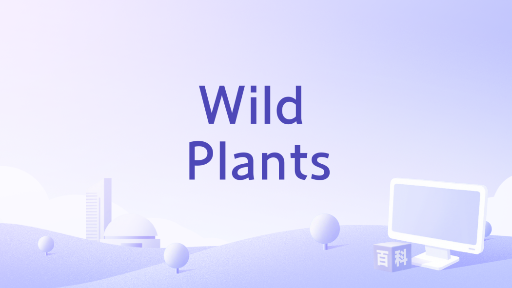 Wild Plants
