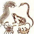 五毒(五種有毒性的動物) 五毒(五種有毒性的動物)