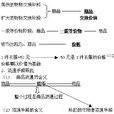 貯藏手段 貯藏手段