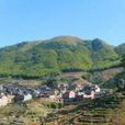 光夏村 光夏村