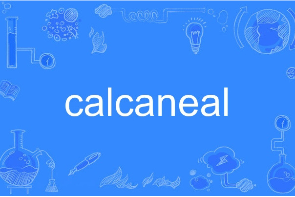 calcaneal calcaneal