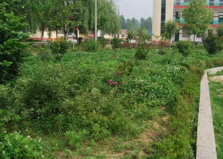吳平坊村 吳平坊村