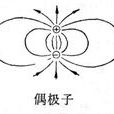 偶極子