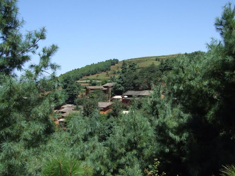 七柏沖村 七柏沖村