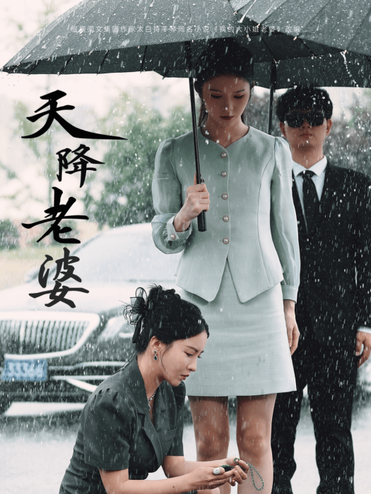 天降老婆 天降老婆