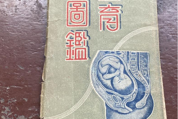 生育圖鑑 生育圖鑑