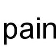 pain(英文單詞)