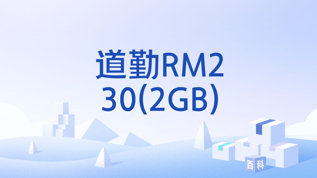 道勤RM230(2GB) 道勤RM230(2GB)