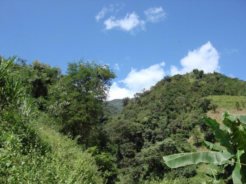 背陰寨村(雲南新平縣漠沙鎮下轄村) 背陰寨村(雲南新平縣漠沙鎮下轄村)