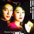 愛情密碼(2001年王姬馮紹峰主演電視劇，張可小說)