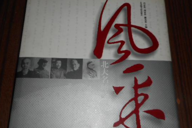 風采(2008年北京圖書館出版社出版的圖書) 風采(2008年北京圖書館出版社出版的圖書)