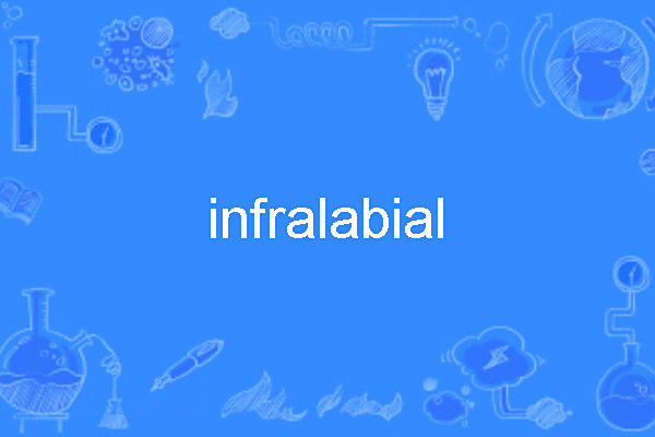 infralabial infralabial