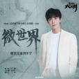 微世界(摩登兄弟劉宇寧演唱的歌曲) 微世界(摩登兄弟劉宇寧演唱的歌曲)