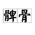 髀骨 髀骨
