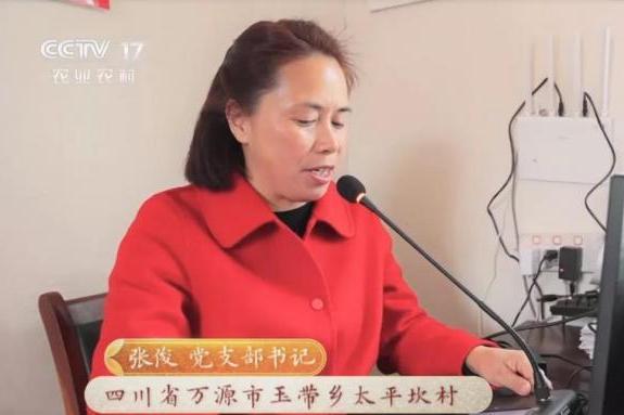 張俊(四川省達州市玉帶鄉太平坎黨支部書記) 張俊(四川省達州市玉帶鄉太平坎黨支部書記)