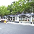 三香路 三香路