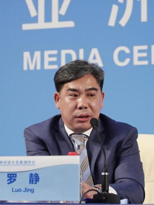 羅靜(國家文物局科技教育司司長) 羅靜(國家文物局科技教育司司長)