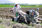 小型農用拖拉機耕作