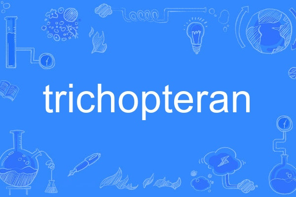 trichopteran trichopteran