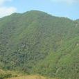 羊坡村(雲南省普洱市景東縣文井鎮下轄村) 羊坡村(雲南省普洱市景東縣文井鎮下轄村)